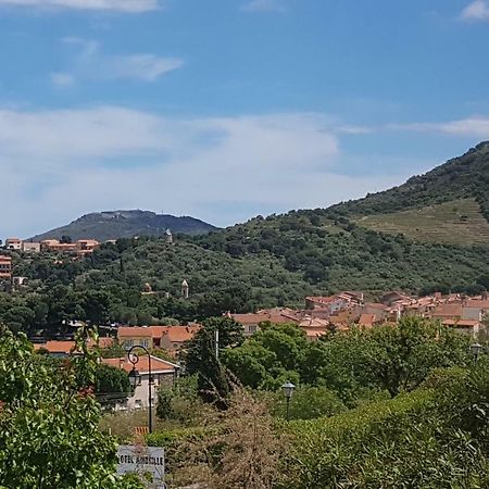 3Amb31 - Studio Pour 3 Personnes Avec Magnifique Vue Sur La Baie Collioure Kültér fotó